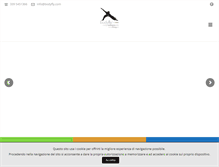 Tablet Screenshot of bodyfly.com